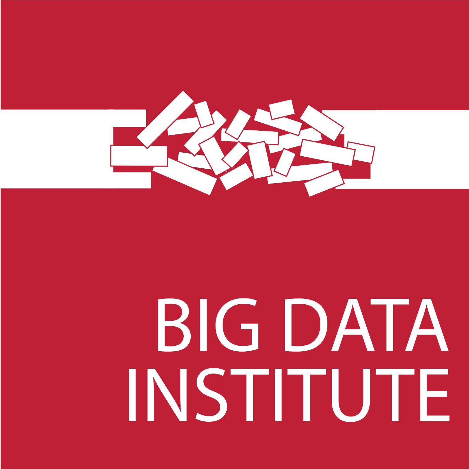 Big Data Institute